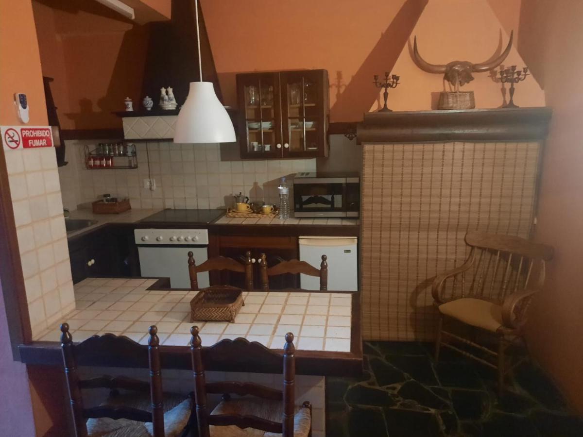 Loft Green Apartment La Laguna  Ngoại thất bức ảnh